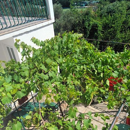 Apartment Jo Dubrovnik Ngoại thất bức ảnh