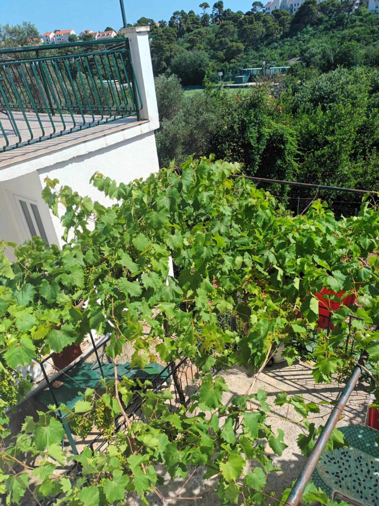 Apartment Jo Dubrovnik Ngoại thất bức ảnh